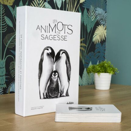 Coffret Les Animots de Sagesse