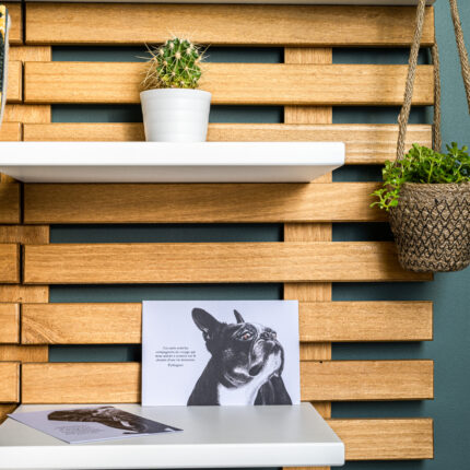 carte postale - carte à mot - décopositive - chien boston terrier