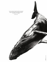 La Baleine "la connaissance de soi"