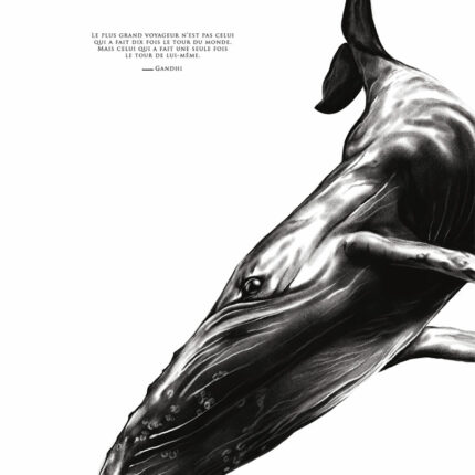 La Baleine "la connaissance de soi"