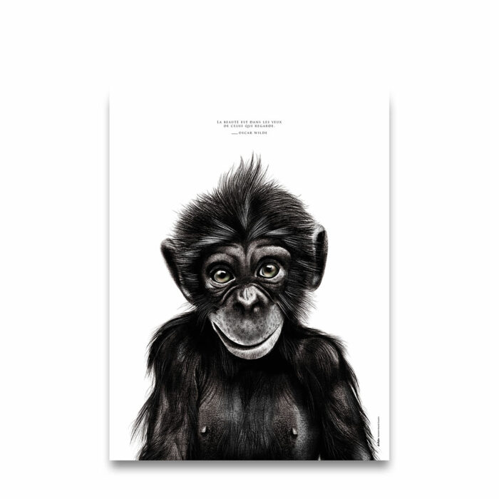 Le Chimpanzé "la beauté"