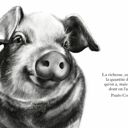 Le Cochon "la richesse"