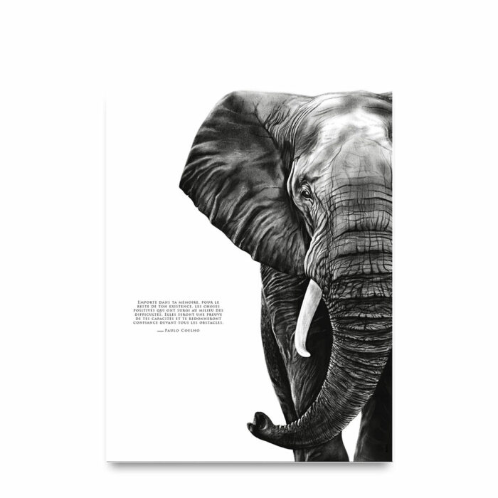 L'éléphant "la mémoire"