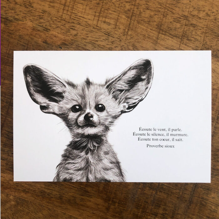 Le Fennec "écoute ton coeur"