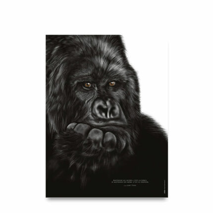 Le Gorille "la maîtrise de soi"