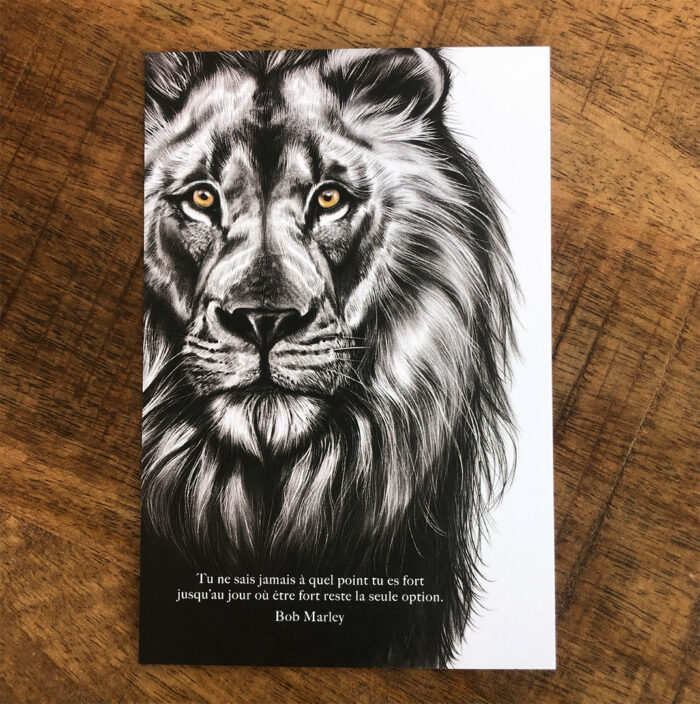 Le Lion "la force" - carte postale