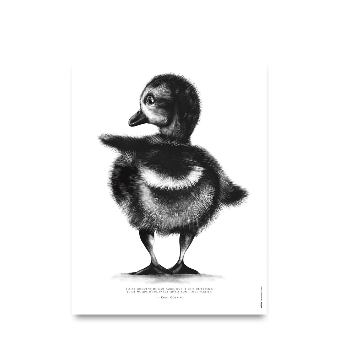 Affiche canard dessin original illustrant une citation sur la différence