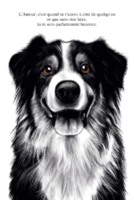 affiche border collie