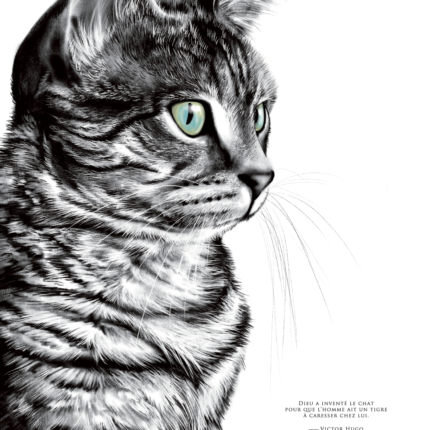 affiche chat - citation de victor hugo