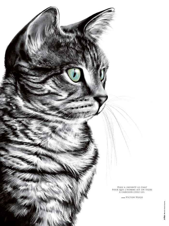 affiche chat - citation de victor hugo