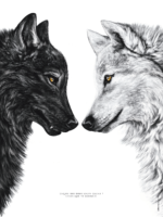 La légende des 2 loups, ce conflit entre notre côté obscur (loup noir) et la zone lumineuse, empreinte d'amour (blanc). Existe en affiche 30 X 40 cm et 50 X 70 cm.