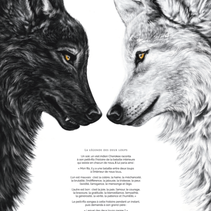 La légende des deux loups, ce conflit entre notre côté obscur (loup noir) et la zone lumineuse, empreinte d'amour (blanc). Existe en affiche et en carte.