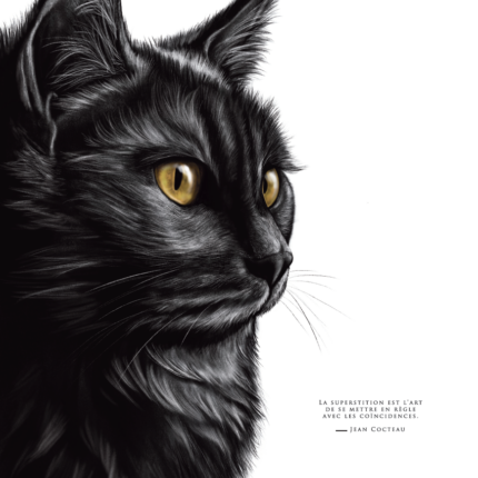 Affiche chat noir - dessin portant la citation de Jean Cocteau "La superstition est l'art de se mettre en règle avec les coïncidences". 19€