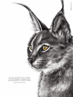 Affiche Lynx - 30 X 40 cm - dessin d'un lynx et citation de Carl Jung - Dessin de Marjorie Esquerre. Découvrez cette affiche inspirante dans la boutique.