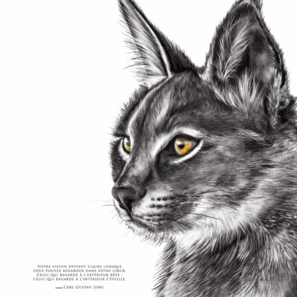 Affiche Lynx - 30 X 40 cm - dessin d'un lynx et citation de Carl Jung - Dessin de Marjorie Esquerre. Découvrez cette affiche inspirante dans la boutique.