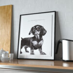 L'Affiche Le Teckel illustre une citation de Coluche : «  Dans la vie, y'a pas de grands, y'a pas de petits. La bonne longueur pour les jambes, c'est quand les pieds touchent par terre."