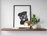 Dessin d'un Rottweiler réalisé par Marjorie Esquerre portant une citation positive et inspirante - disponible en affiche / poster format 30 X 40 cm