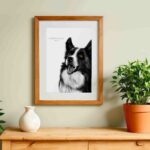 Dessin d'"un border collie réalisé par Marjorie Esquerre portant la citation de Victor Hugo - disponible en affiche / poster format 30 X 40 cm