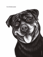 Dessin d'un Rottweiler réalisé par Marjorie Esquerre portant une citation positive et inspirante - disponible en affiche / poster format 30 X 40 cm