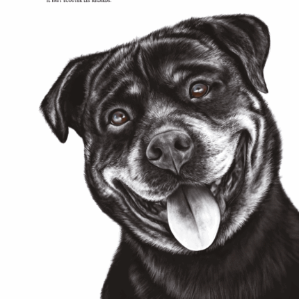 Dessin d'un Rottweiler réalisé par Marjorie Esquerre portant une citation positive et inspirante - disponible en affiche / poster format 30 X 40 cm