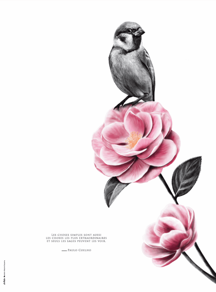 Poster d'un Oiseau - Dessin d'un moineau portant une citation de Paulo Coelho : "les choses simples sont aussi les choses les plus extraordinaires..." Tous droits réservés - dessin de Marjorie Esquerre