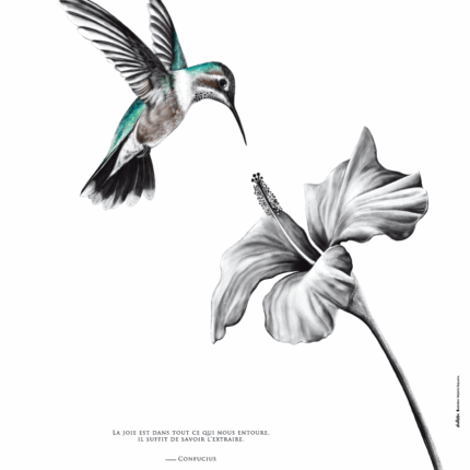 Dessin d'un colibri associé à une citation sur la joie de Confucius "La joie est dans tout ce qui nous entoure, il suffit de savoir l’extraire" - dessin de Marjorie Esquerre pour Décopositive - tous droits réservés