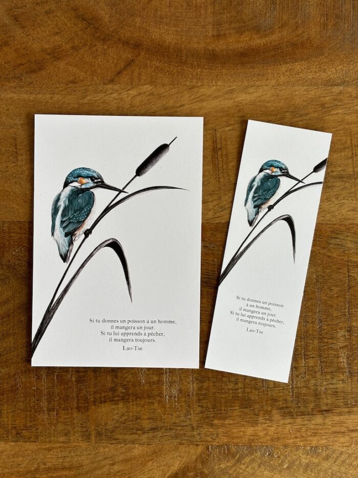 carte postale et marque page decopositive - le martin-pêcheur