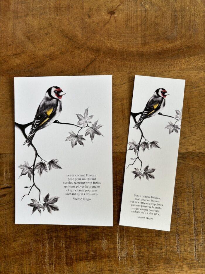 carte postale et marque-page Le Chardonneret par Décopositive