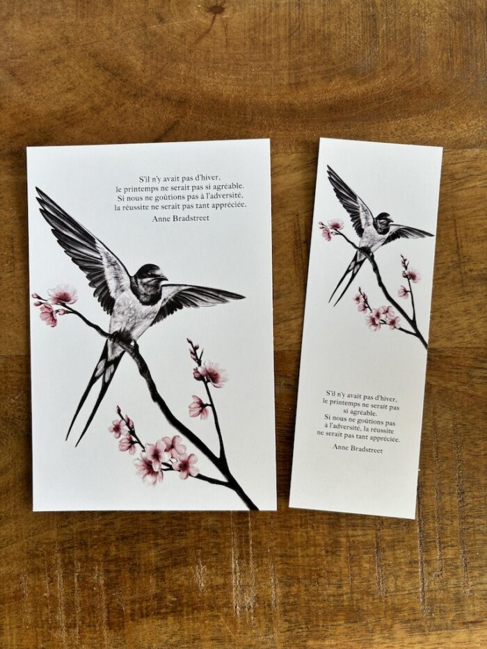 carte postale et marque-page Hirondelle par decopositive