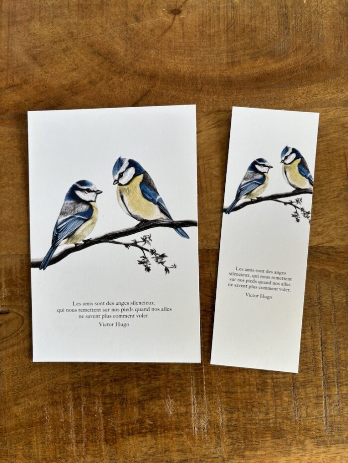 carte postale et marque-page les mesanges - par decopositive