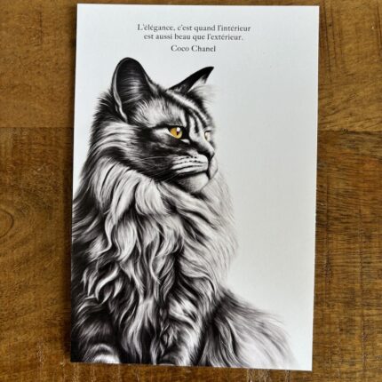 carte postale dessin le chat - citation de coco chanel - création de Décopositive