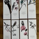 Lot de 8 marque-pages oiseaux - dessin de Marjorie Esquerre pour décopositive