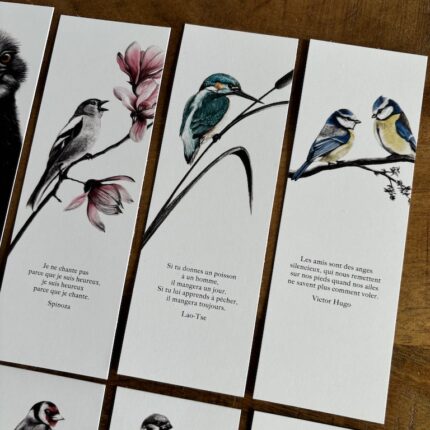 Lot de 8 marque-pages oiseaux - dessin de Marjorie Esquerre pour décopositive
