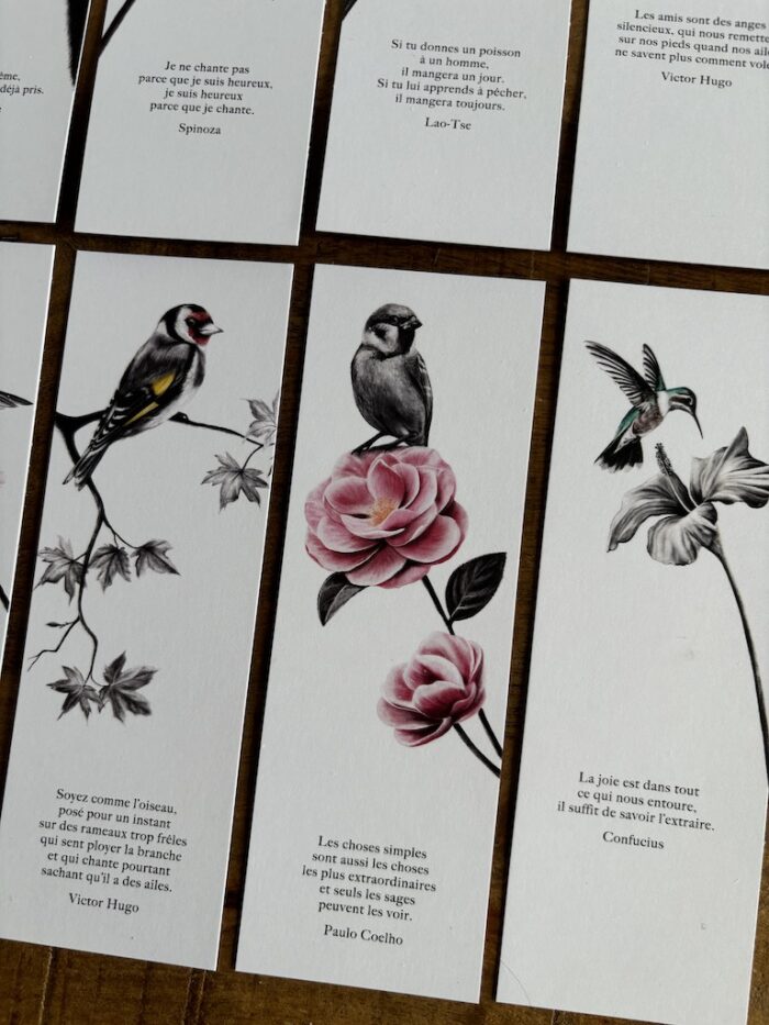 Lot de 8 marque-pages oiseaux - dessin de Marjorie Esquerre pour décopositive