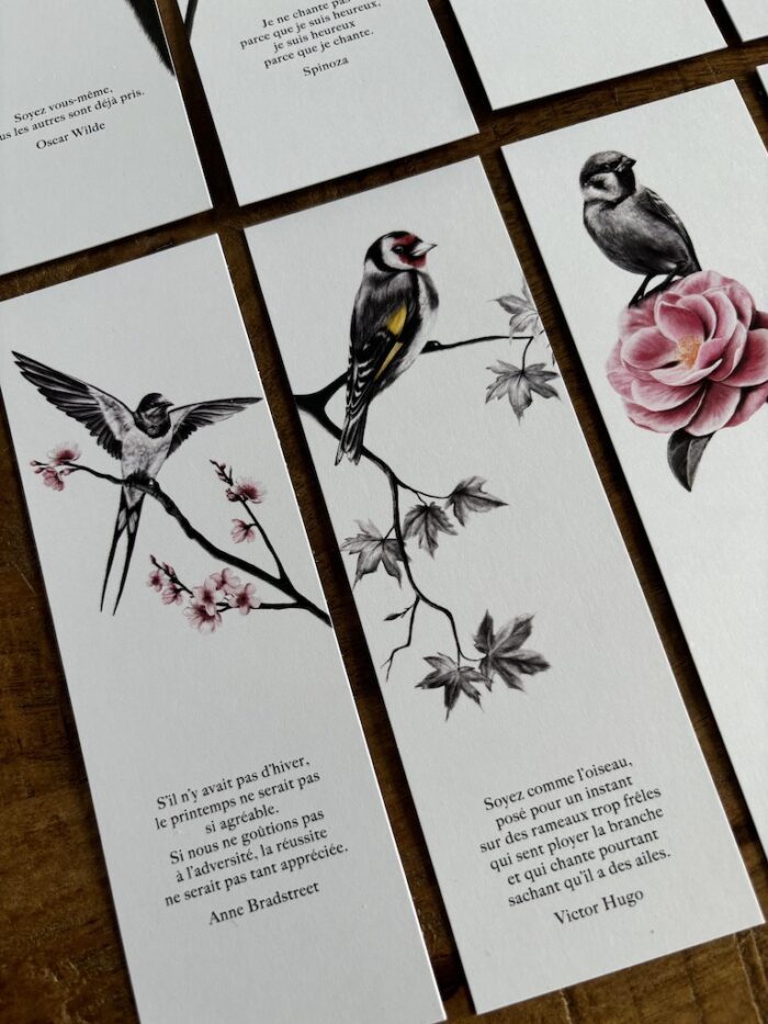 Lot de 8 marque-pages oiseaux - dessin de Marjorie Esquerre pour décopositive