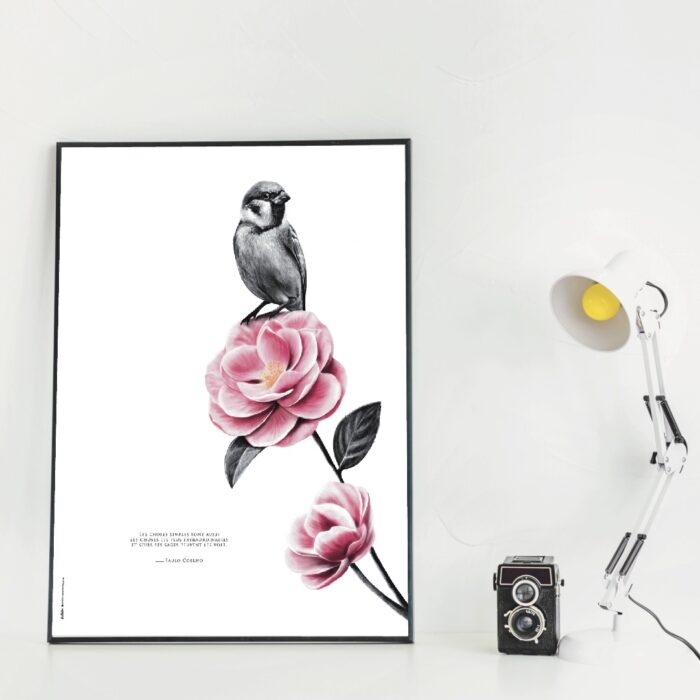 moineau-affiche-decopositive Poster d'un Oiseau - Dessin d'un moineau portant une citation de Paulo Coelho : "les choses simples sont aussi les choses les plus extraordinaires..." Tous droits réservés - dessin de Marjorie Esquerre