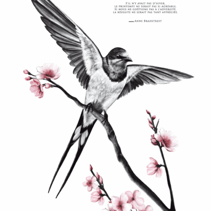Poster d'un Oiseau - Dessin d'une hirondelle portant une citation de Anne Bradstreet - disponible en affiche 30 X 40 cm et en carte postale - dessin de Marjorie Esquerre - tous droits réservés