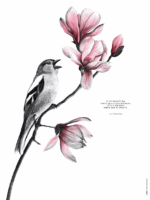 Dessin Le Pinson réalisé par Marjorie Esquerre pour décopositive - disponible en affiche et en carte - Tous droits réservés