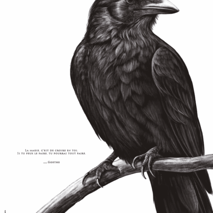 Affiche d'un corbeau - Dessin d'un corbeau accompagné d'une citation de Goethe sur la magie. Disponible en affiche 30 X 40 cm.
