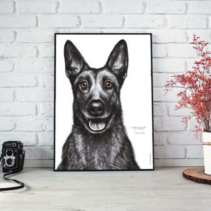 Dessin d'un malinois réalisé par Marjorie Esquerre portant une citation positive et inspirante - disponible en affiche / poster format 30 X 40 cm