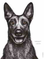 Dessin d'un malinois réalisé par Marjorie Esquerre portant une citation positive et inspirante - disponible en affiche / poster format 30 X 40 cm