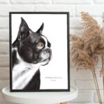 Dessin d'un boston terrier réalisé par Marjorie Esquerre portant une citation sur les amis - disponible en affiche / poster format 30 X 40 cm