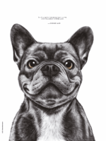 Dessin d'un bouledogue français réalisé par Marjorie Esquerre portant une citation de George Sand - disponible en affiche / poster format 30 X 40 cm