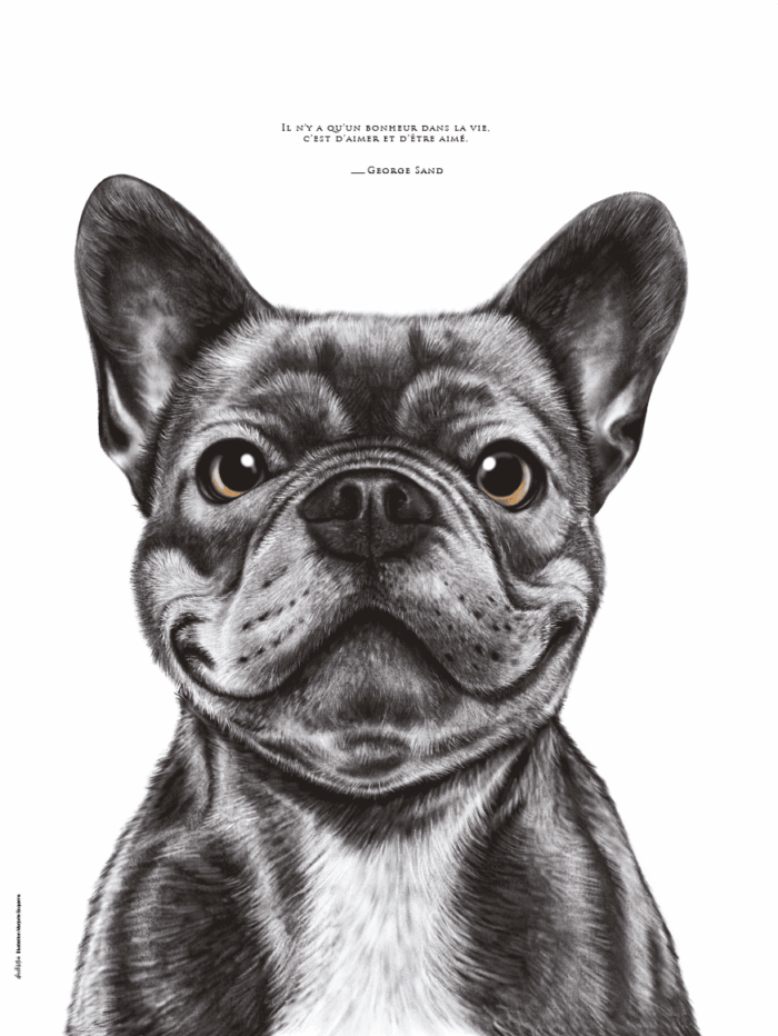 Dessin d'un bouledogue français réalisé par Marjorie Esquerre portant une citation de George Sand - disponible en affiche / poster format 30 X 40 cm