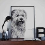 Affiche d’un labrit, berger des Pyrénées. Ce dessin est associé à une citation : « Aimer, c’est donner. Plus grand est le don, plus grand est l’amour. » - Dessin de Marjorie Esquerre pour decopositive - tous droits réservés