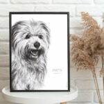 Affiche d’un labrit, berger des Pyrénées. Ce dessin est associé à une citation : « Aimer, c’est donner. Plus grand est le don, plus grand est l’amour. » - Dessin de Marjorie Esquerre pour decopositive - tous droits réservés