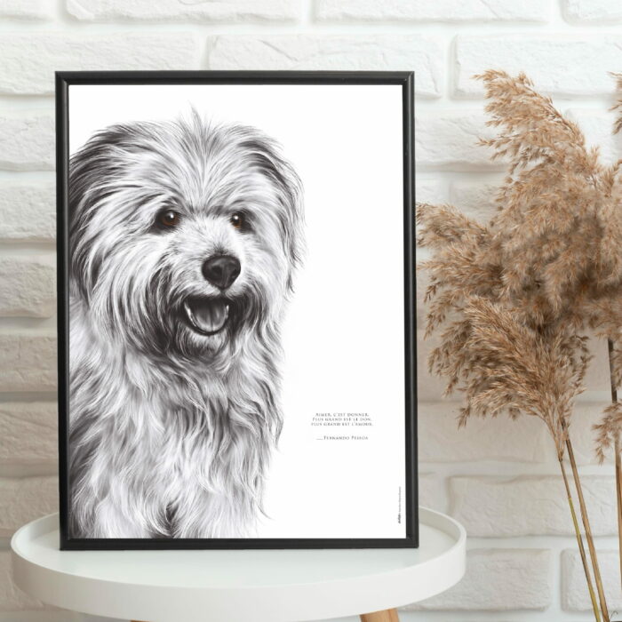 Affiche d’un labrit, berger des Pyrénées. Ce dessin est associé à une citation : « Aimer, c’est donner. Plus grand est le don, plus grand est l’amour. » - Dessin de Marjorie Esquerre pour decopositive - tous droits réservés