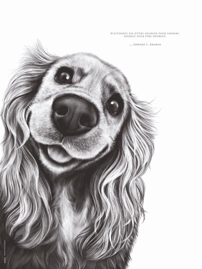 Dessin d'un cocker associé à la citation : « N’attendez pas d’être heureux pour sourire, souriez pour être heureux » – Edward L. Kramer - Dessin de Marjorie Esquerre