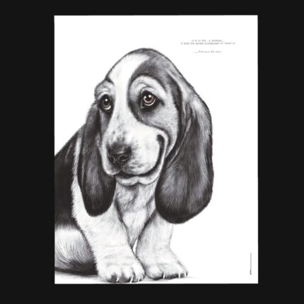 Affiche Basset Hound 30 x 40 cm avec citation drôle : « Je n'ai pas la flemme, je suis en mode économie d'énergie ». Une illustration originale et amusante.