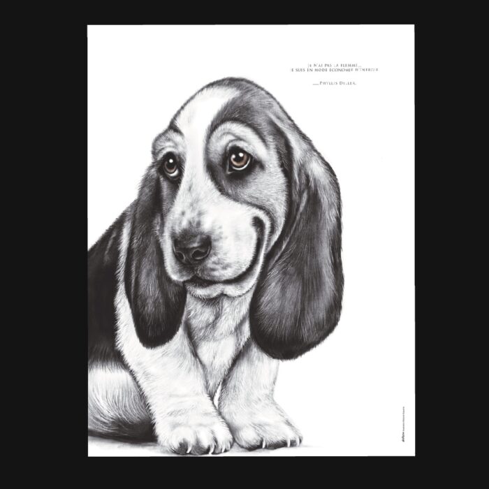 Affiche Basset Hound 30 x 40 cm avec citation drôle : « Je n'ai pas la flemme, je suis en mode économie d'énergie ». Une illustration originale et amusante.